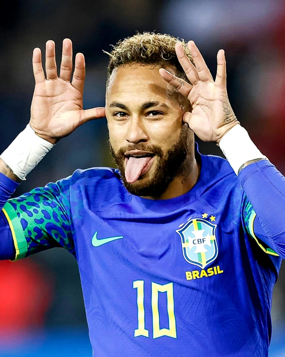 这次夺冠也 这次夺冠也