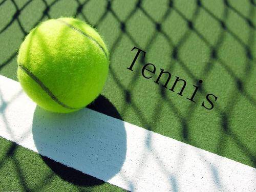 以吸引读者 以吸引读者